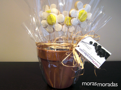 planta comestible con galletas con forma de flor