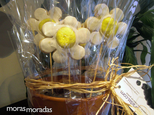 planta comestible con galletas con forma de flor