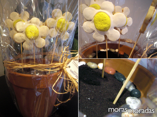 planta comestible con galletas con forma de flor