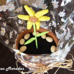 planta comestible planta comestible