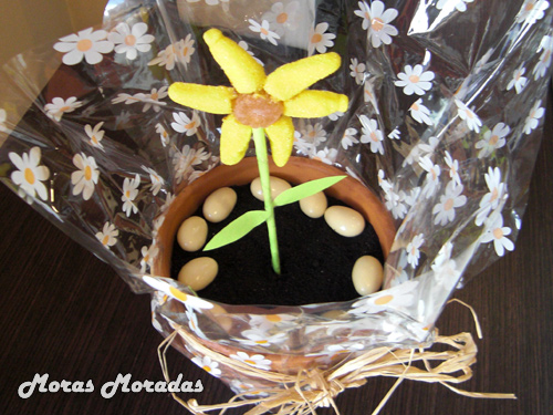 planta comestible planta comestible