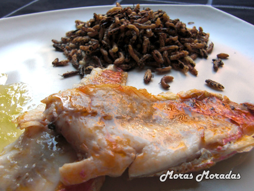 salmonete con arroz salvaje salmonete con arroz salvaje