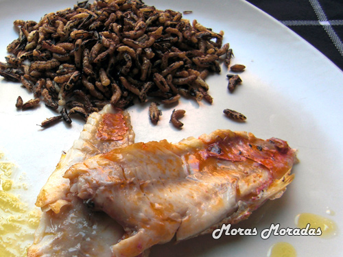 salmonete con arroz salvaje frito salmonete con arroz salvaje frito