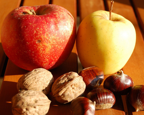 productos de otoño