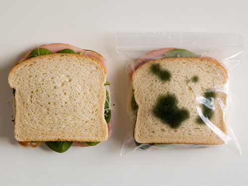 bolsa anti robo de bocadillo bolsa anti robo de bocadillo